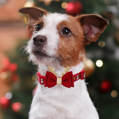 Collar para Perros Medianos con Diseño de Muñeco de Nieve